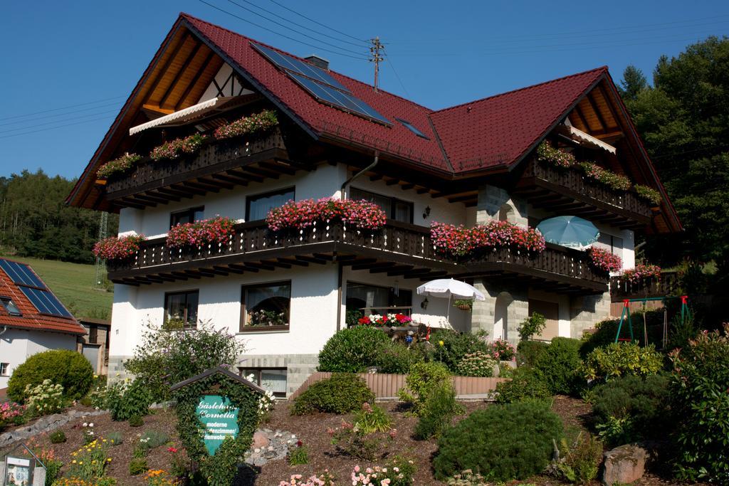 Gaestehaus Cornelia Wildensee Екстер'єр фото